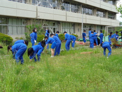 DSC09954